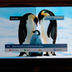 Illustration for article titled Is It Me, Or Are TVs Getting Friendlier?